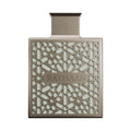 Rayhaan Terra Edp For Men