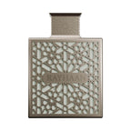 Rayhaan Terra Edp For Men